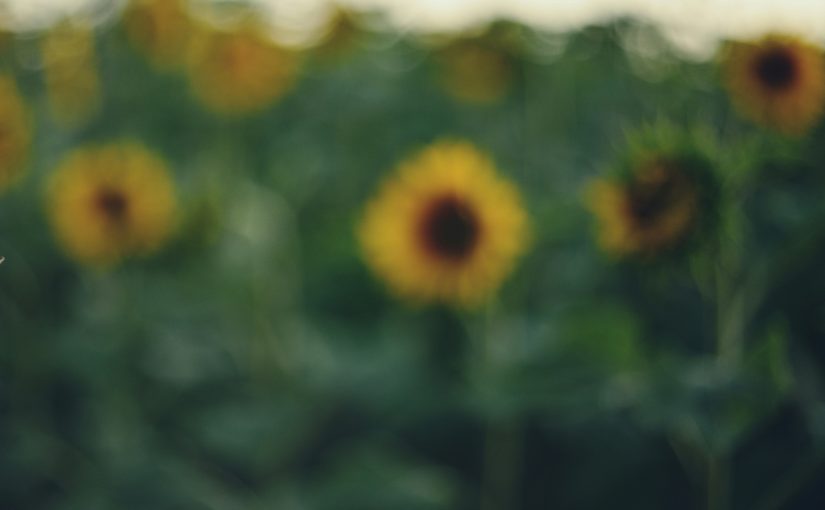 曲がりを減らすアドレス：【ビギナー向け】ドライバー